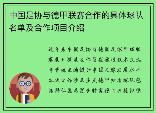 中国足协与德甲联赛合作的具体球队名单及合作项目介绍